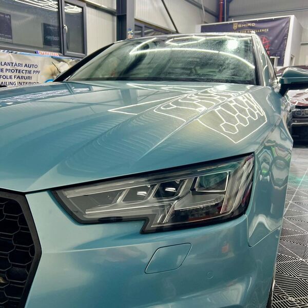 Lucrare Law Customs Timișoara - photo-17.jpg