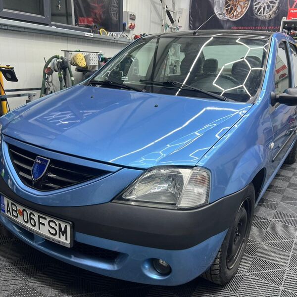 Lucrare Law Customs Timișoara - photo-28.jpg